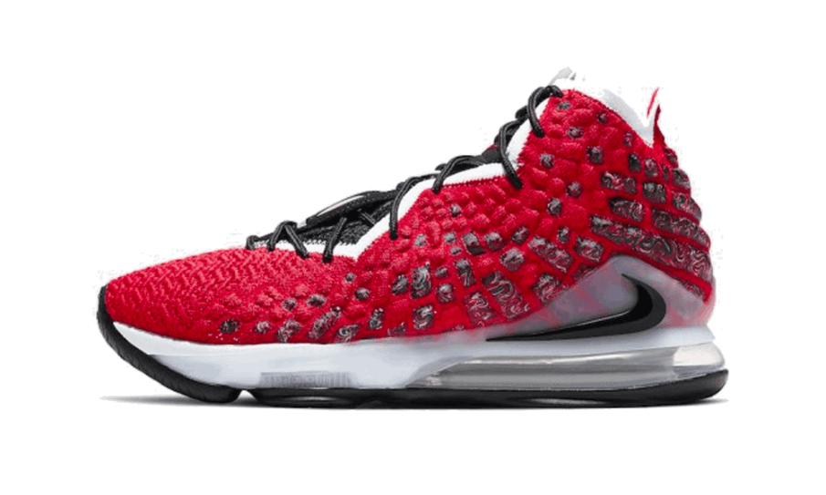 Genopfyld Nike Lebron 17 Uptempo